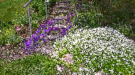 Gartentreppe mit Blumen