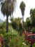 La Palma Jardin - Unsere Unterkunft